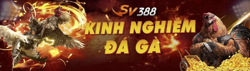 SV388 tung ra nhiều sự kiện khuyến mãi đầy bất ngờ