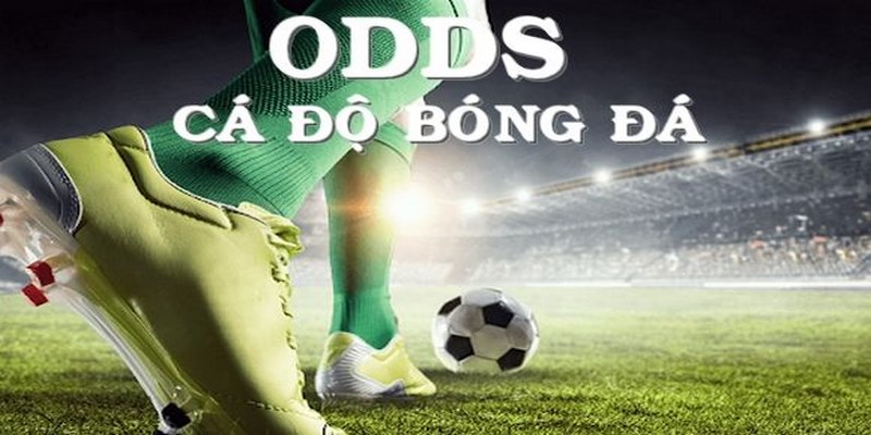 Tìm hiểu cách đọc tỷ lệ Odds là gì trong cá cược bóng đá