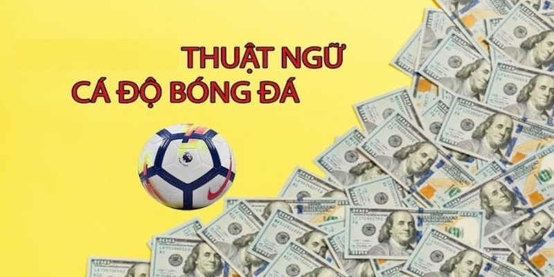 Bên cạnh những thuật ngữ còn có các từ lóng được sử dụng trong cá cược