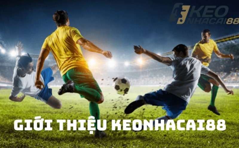 Giới thiệu website keonhacai 88